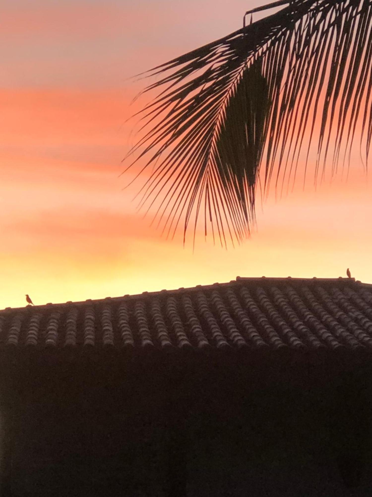 Conchas E Corais Suites マラウ エクステリア 写真